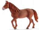 SCHLEICH 13870 Kôň - MORGAN MARE