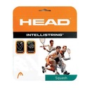 SQUASH STRING HEAD INTELLISTRING WH 1,30 10M