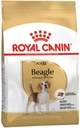 ROYAL CANIN Beagle Dospelý 12kg