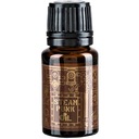 PAN DRWAL Steam Punk olej na bradu - 10 ml