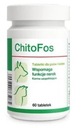 Dolfos Chitofos 60 tabliet