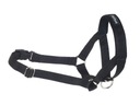 amiplay Halter Basic Bridle Golier S Black