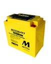 AGM BATTERY MOTOBATT MBYZ16H 12V 16Ah 240A