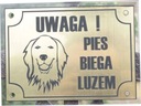 Plaketa BAD DOG gravírovaná zlato + plexi HIT