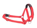 Obojok amiplay Halter Basic XS uzdička červený