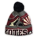 Teplá NHL čiapka Reebok Arizona Coyotes Small