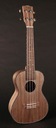 UKULELE CORALA UKC-910 DAO WOOD NOVINKA!