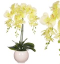 SILIKÓNOVÉ ORCHIDEY SILIKÓNOVÉ ORCHIDEY