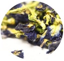 Kvet Klitoria ternate 'Butterfly Tea' 50g