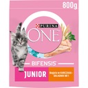 Purina One Chicken suché krmivo pre mačky 0,8 kg