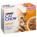 Purina Cat Chow Losos pre dospelých s fazuľou 10 x 85 g