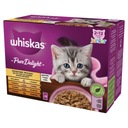 Whiskas Junior Hydiny Chuť v želé 12x85g