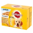 Pedigree Junior vrecúško 12x100g v želé