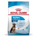 ROYAL CANIN MAXI PUPPY VEĽKÉ PLEMENO ŠTENIATKA 4KG