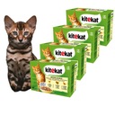 Kitekat Gefugel-Allerlei hydinové hody 48x85g