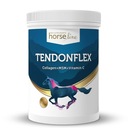 HorseLinePRO TendonFlex 900 g NA ŠĽACHY