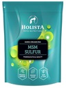 Holista MSM Sulphur 500g podporuje kĺby psa, mačky