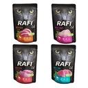 Dolina Noteci Rafi Cat Mix of Flavors Vrecúško 40x100g