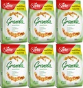 SANTE ORECH GRANOLA 350G x6