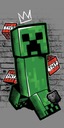 UTERÁK 70x140 CREEPER MINECRAFT 07