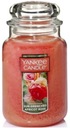 Yankee Candle Sun-Drenched Marhuľová ruža 623g VEĽKÁ