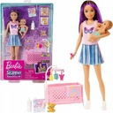 BARBIE SKIPPER DETSKÝ SET HJY34