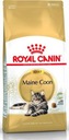 Royal Canin Cat Maine Coon suché krmivo 10kg