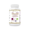 PROGRESS LABS ASHWAGANDHA 500 MG ŽENŠEN 120 TAB