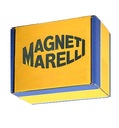 EGR VENTIL + CHLADIČ MAGNETI MARELLI EV060