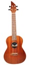 FLYCAT C10C KONCERT UKULELE + VZDELÁVACÍ KURZ ZA 0!