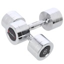 CHROME DUMBLERS HMS ČINKY 2x6KG