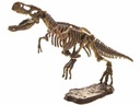 T-REX kostra 3D výkopová súprava ZA1777 A DARČEK