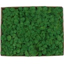 Moss Crabotek PREMIUM Forest Dark Green 1kg