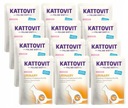 Kattovit Feline Diet Močový losos 12 ks. x 85 g