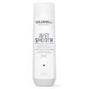 Goldwell Dualsenses Just Smooth Shampoo 250 ml