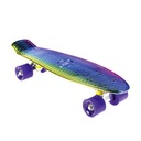 NILS Skateboard FISZKA Pennyboard pre deti