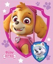 SKYE POLAR PAW PATROL fleecová deka 130x170