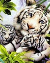 Diamantová výšivka diamantová maľba mozaiky Tiger Family 45x55cm Set 5D