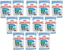 Sada ROYAL CANIN Mini Puppy Junior 12x 85g