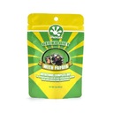 Pangea Gecko Diet Fruit Mix Papája 56g