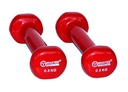 Fitness činky 2 x 0,5 kg Liatinový set