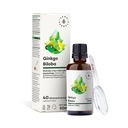 Ginkgo biloba - extrakt z Ginkgo biloba 50:1 (5