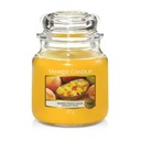 Yankee Candle stredná nádoba MANGO PEACH SALSA