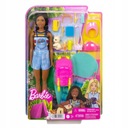 BARBIE BROOKLYN CAMPING BÁBIKA + DOPLNKY