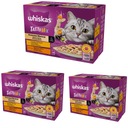 WHISKAS Tasty Mix mokré krmivo pre mačky CREAMY VARIATIONS v omáčke 36x85g