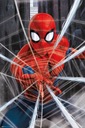 Originálny plagát na stenu Spider-Man Gotcha 61x91,5 cm do detskej izby