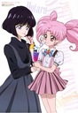 Bishoujo Senshi Sailor Moon bssm_091 A1+ (vlastné)