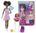 Mattel Barbie Babysitter Mini Birthday FHY97 GRP41