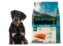 Krmivo Bravery PREMIUM pre dospelých psov M/L LOSOS 12 kg