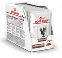 Royal Canin Gastro Cat Cat 12 x 85 g